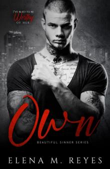 OWN (EBOOK): Beautiful Sinner Series