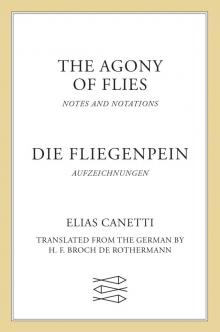 Agony of Flies