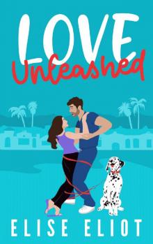 Love Unleashed: An Enemies to Lovers Romantic Comedy (Capitola Crushes)