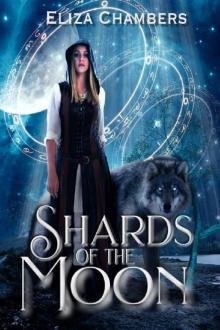 Shards of the Moon