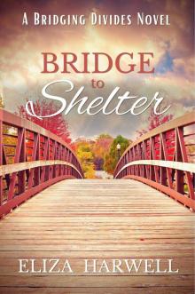 Bridge to Shelter