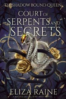 Court of Serpents and Secrets: A Brides of Mist and Fae Novel (The Shadow Bound Queen Book 4)