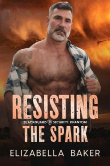 Resisting the Spark (Blackguard Security: Phantom Book 3)