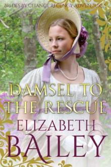 Damsel To The Rescue (THE BRIDES BY CHANCE REGENCY ADVENTURES SERIES Book 6)