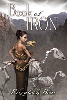 Book of Iron bajc-2