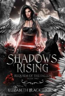 Shadows Rising (Requiem of the Fallen Book 2)