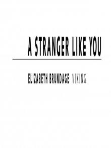 A Stranger Like You