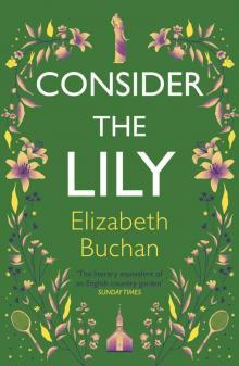 Consider the Lily