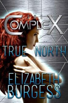 True North (The Complex Book 0)