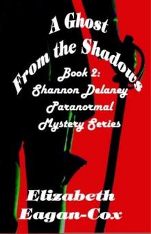 A Ghost from the Shadows: Book 2 of the Shannon Delaney paranormal Mystery Series