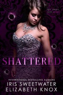 Shattered (The Clans Book 7)