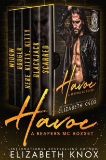 Havoc- Reapers MC Boxset