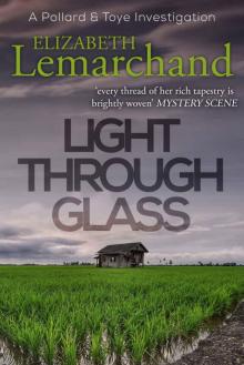 Light Through Glass (Pollard & Toye Investigations Book 15)