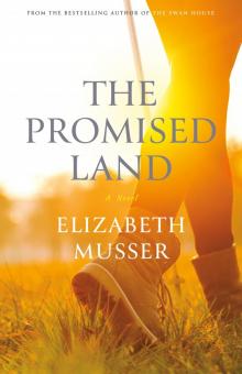 The Promised Land The Promised Land