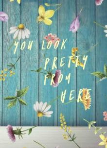 You Look Pretty From Here