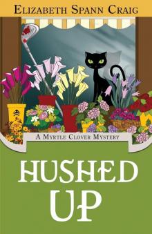 Hushed Up Hushed Up