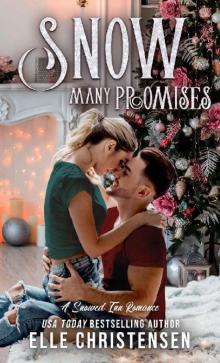 Snow Many Promises: A Snowed Inn Romance