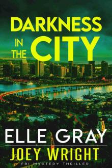 Darkness in the City (Joey Wright FBI Mystery Thriller Book 3)
