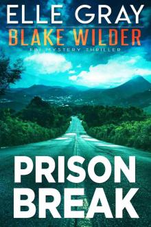 Prison Break (Blake Wilder FBI Mystery Thriller Book 24)