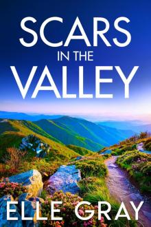 Scars in the Valley (A Sapphire Valley Mystery Book 2) Scars in the Valley (A Sapphire Valley Mystery Book 2)