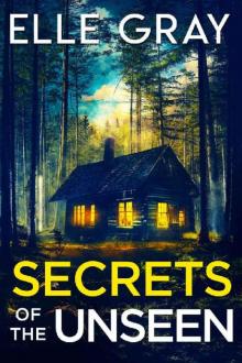 Secrets of the Unseen (Storyville FBI Mystery Thriller Book 4)
