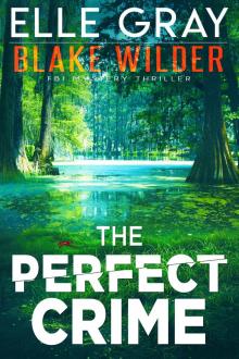 The Perfect Crime (Blake Wilder FBI Mystery Thriller Book 25)