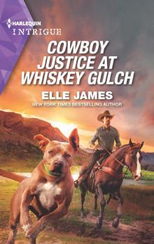 Cowboy Justice at Whiskey Gulch Cowboy Justice at Whiskey Gulch