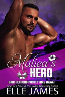 Maliea's Hero (Brotherhood Protectors Hawaii Book 4)