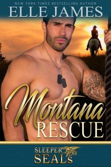 Montana Rescue (Sleeper SEALs) (Volume 6)