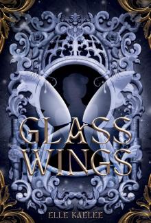 Glass Wings (The Glass Wings Series Book 1)