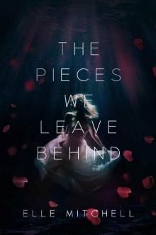 The Pieces We Leave Behind The Pieces We Leave Behind