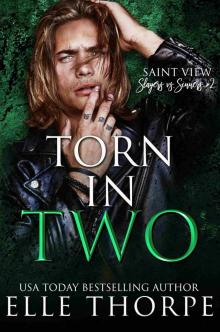 Torn In Two (Saint View Slayers vs. Sinners Book 2)