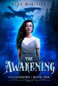 The Awakening The Awakening