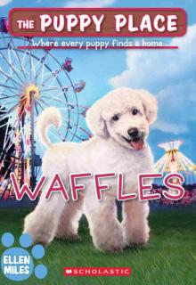 Waffles (The Puppy Place #68)