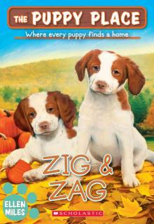 Zig & Zag