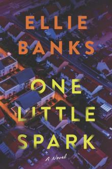 One Little Spark