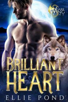 Brilliant Heart (Dark Wing Series Book 2)