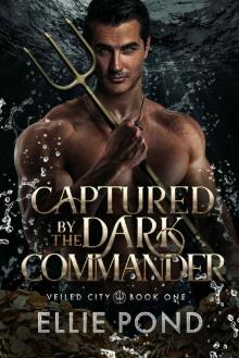 Captured by the Dark Commander (Veiled City Book 1)