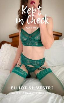 Kept in Check 2: An Erotic Male Chastity Novel