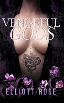 Vengeful Gods: A Why Choose Enemies To Lovers Romance