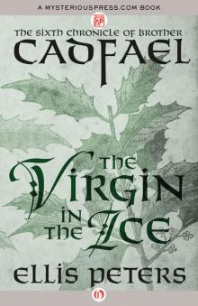 A Virgin In The Ice
