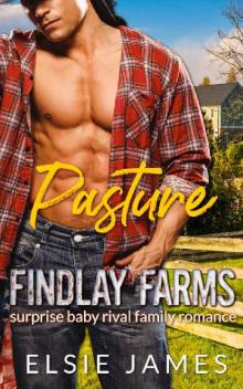 Pasture Findlay Farms: surprise baby rival family romance