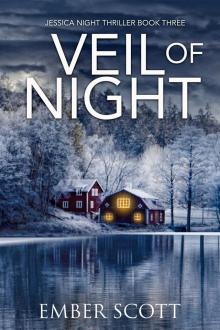 Veil Of Night: Jessie Night Thriller Book Three