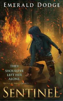 Sentinel Sentinel