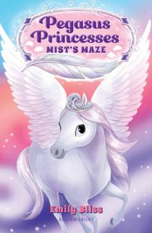 Mist's Maze Mist's Maze