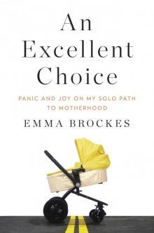 An Excellent Choice An Excellent Choice