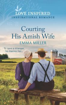 Courting His Amish Wife Courting His Amish Wife