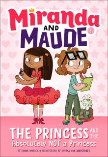 The Princess and the Absolutely Not a Princess The Princess and the Absolutely Not a Princess