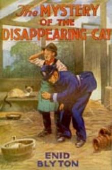 The Mystery of the Disappearing Cat tffabtd-2