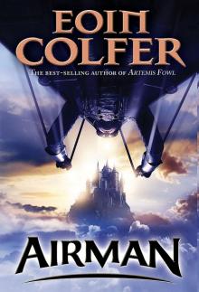 Novel - Airman